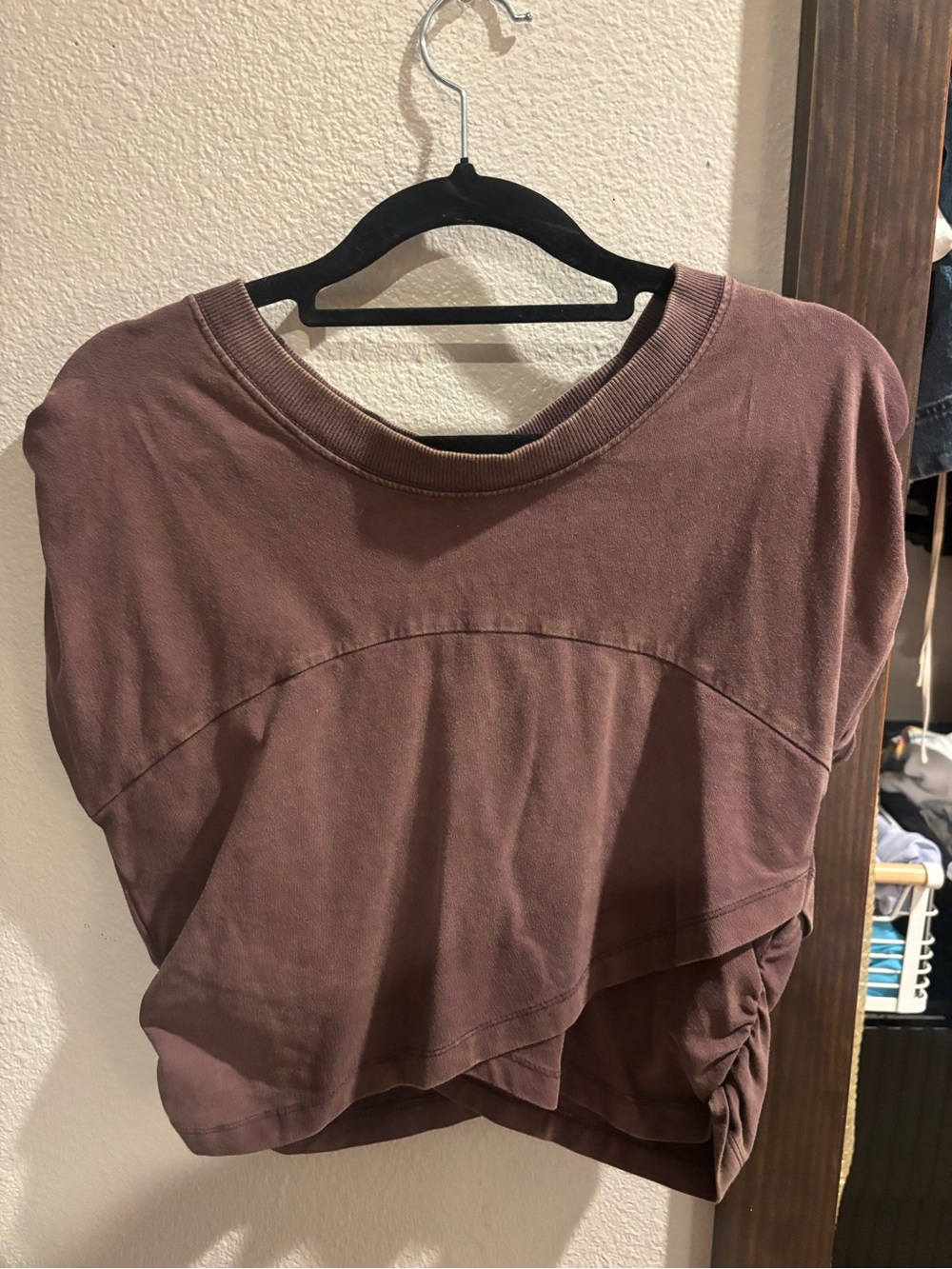 Free People Cropped Pullover Top in Mauve